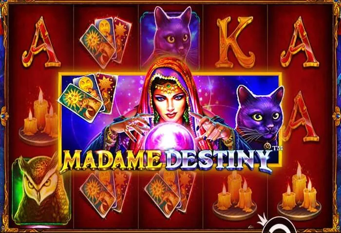 Nouveaux jeux Star Wins Casino disponibles.