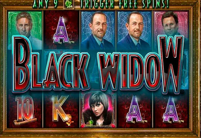 Inserisci il tuo Star Wins Casino Live Codice Promozionale.